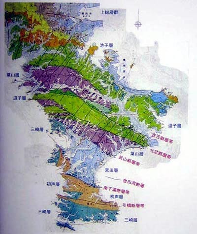 三浦半島の地質図.jpg